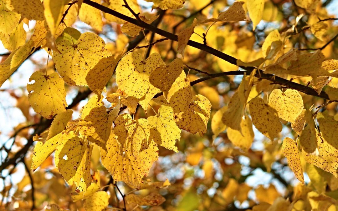 Witamina słońca – D3