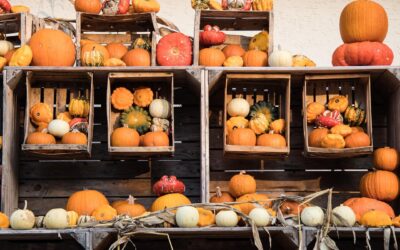 Dynia – moc zdrowia